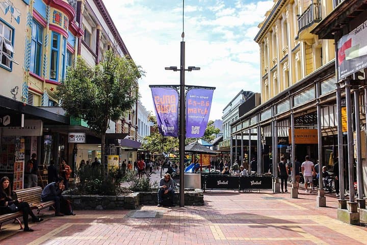 Wellington Private City Tour: Waterfront Walk, Te Papa & Local Brewery (5 hr)