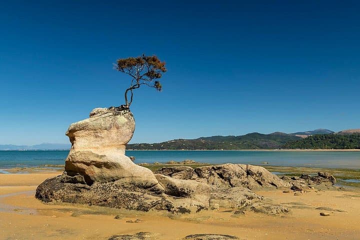 Abel Tasman Adventure: Private Day Tour from Nelson Cruise Port