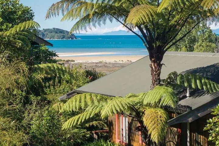 Dunedin Wildlife & Penguin Tour — Taiaroa Head, The OPERA and Peninsula Highlights photo 6