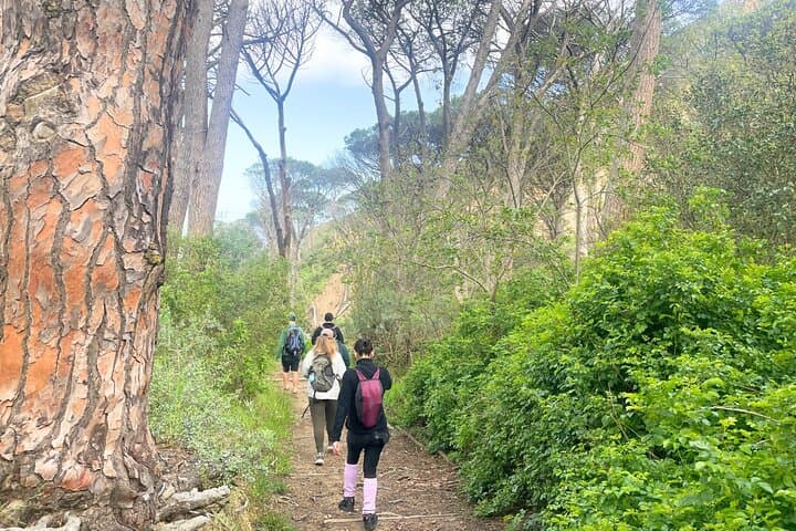 Cape Town Coastline: Mountain-to-Sea Walking Adventure from Signal Hill to Sea Point photo 3
