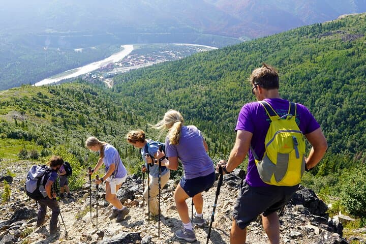 Denali Alaska Range 5-Hour Mountain Hike with Naturalist Guide photo 5