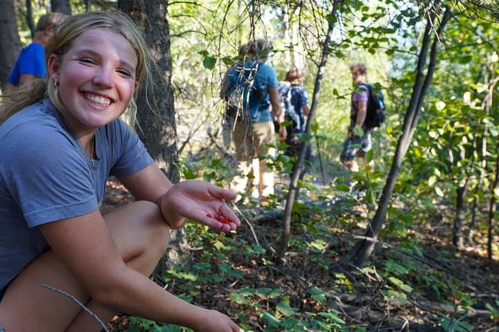 Denali Alaska Range 5-Hour Mountain Hike with Naturalist Guide photo 3