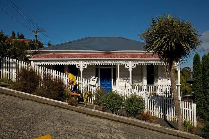 Dunedin Wildlife & Penguin Tour — Taiaroa Head, The OPERA and Peninsula Highlights photo 2