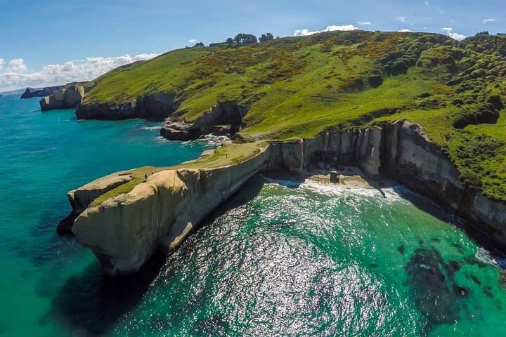 Coastal Catlins Cruiser: Private Day Tour from Dunedin Cruise Port