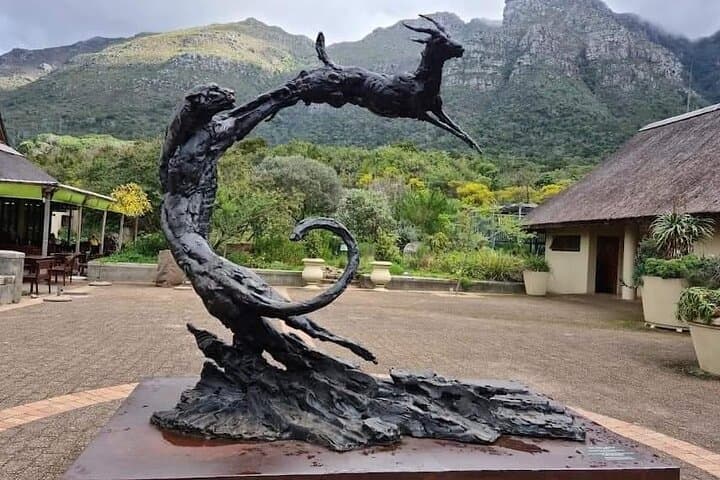 Kirstenbosch Gardens and Constantia Wine Tasting: Small-Group Day Trip from Cape Town