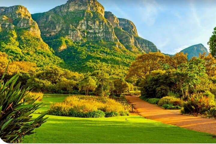 Kirstenbosch Gardens and Constantia Wine Tasting: Small-Group Day Trip from Cape Town photo 3