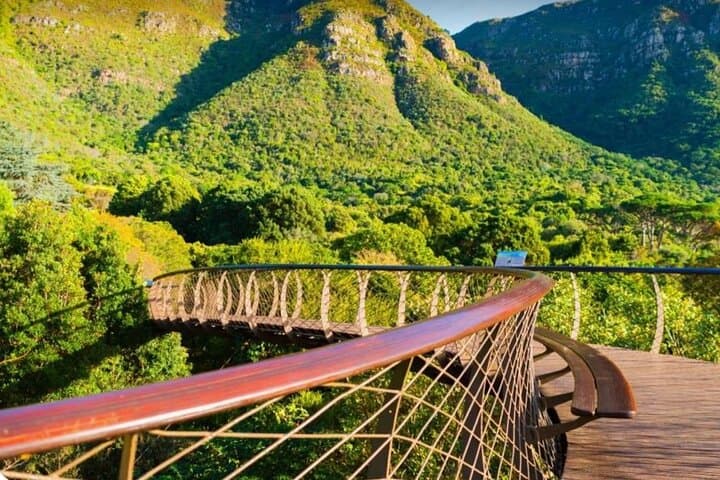 Kirstenbosch Gardens and Constantia Wine Tasting: Small-Group Day Trip from Cape Town photo 4