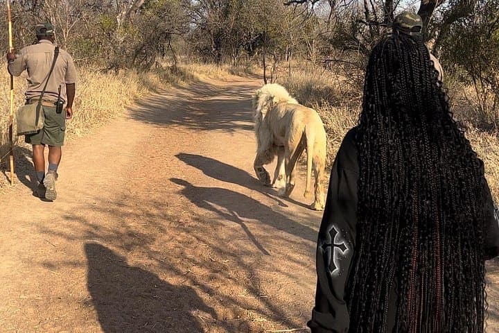 Walking with Lions at Ukutula Game Reserve: Guided Bushwalk Near Johannesburg photo 3