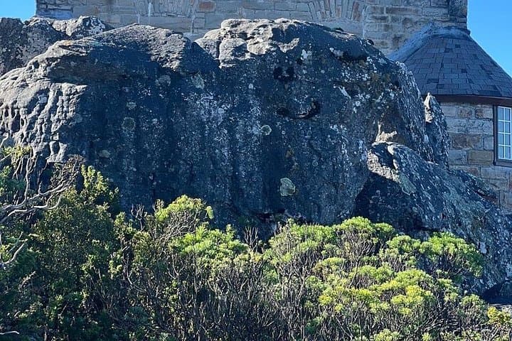 Table Mountain Cable Car and Constantia Wine Tasting — Cape Town Day Tour photo 2