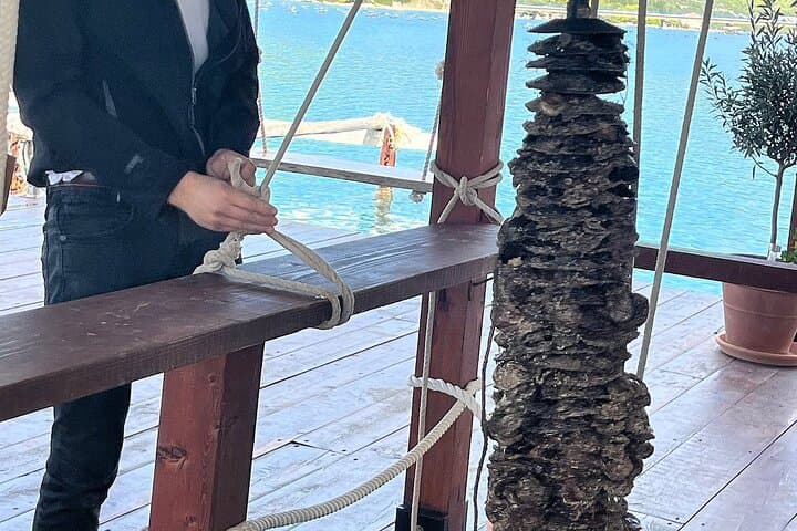 Private Pelješac Wine and Oyster Harvesting Boat Tour from Dubrovnik