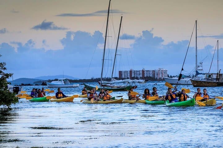 Night Kayaking Laguna Grande Bio Bay in Fajardo — Bioluminescent Mangrove Tour