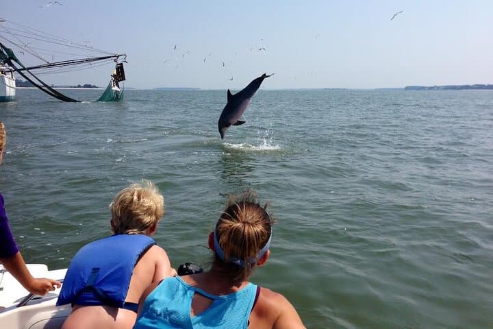 Hilton Head Private Dolphin & Nature Tour — 90-Min Broad Creek Cruise
