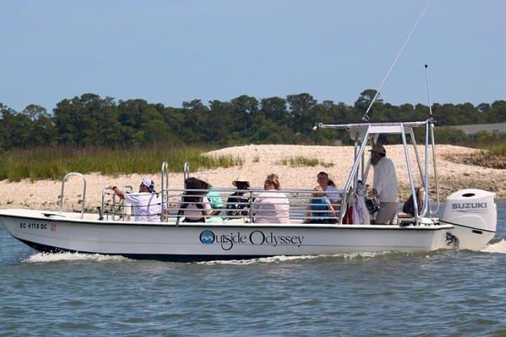 Hilton Head Private Dolphin & Nature Tour — 90-Min Broad Creek Cruise photo 2