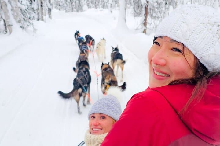 Drive a Dog Team: Anchorage Winter Dog-Sled Tour on Glenn Highway