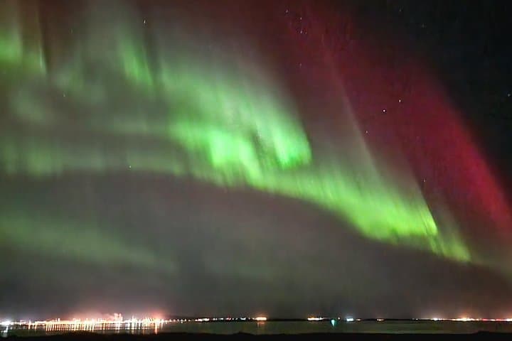 Reykjavik Northern Lights Evening Adventure — Guided Bus Tour to Aurora Viewing photo 3