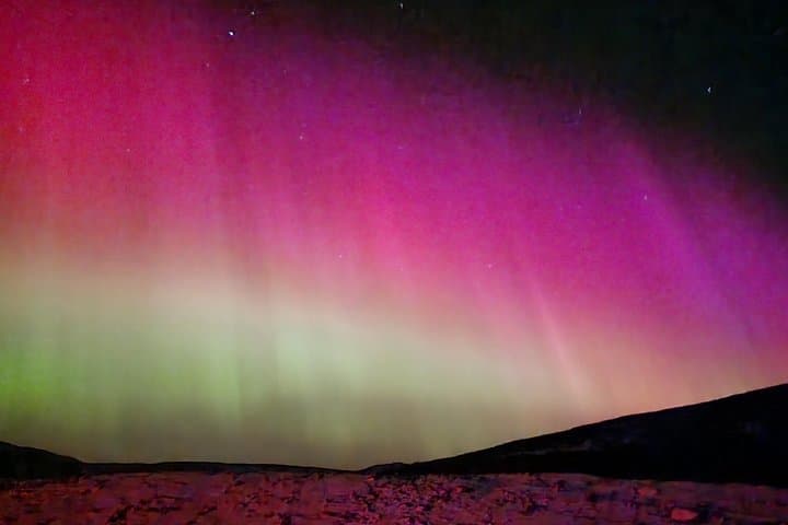 Reykjavik Northern Lights Evening Adventure — Guided Bus Tour to Aurora Viewing photo 4