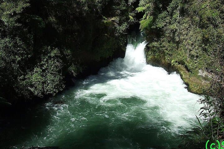 Rotorua Highlights Day Trip from Tauranga: Okere Falls, Blue & Green Lakes & Redwood Walk photo 4