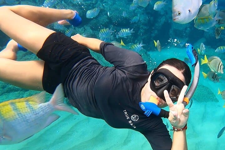 Snorkeling at Chileno Beach: Guided Tour with Transport & Drinks in Los Cabos