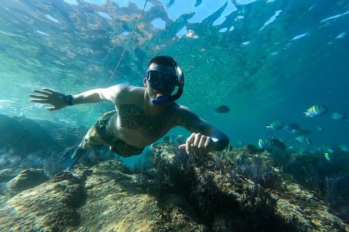 Snorkeling at Chileno Beach: Guided Tour with Transport & Drinks in Los Cabos photo 5