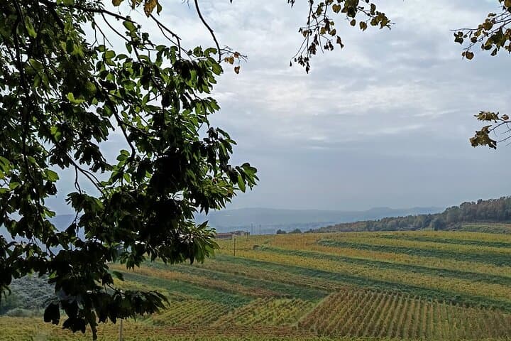 Alcantara Gorges Private Tour and Etna Village Visit photo 3