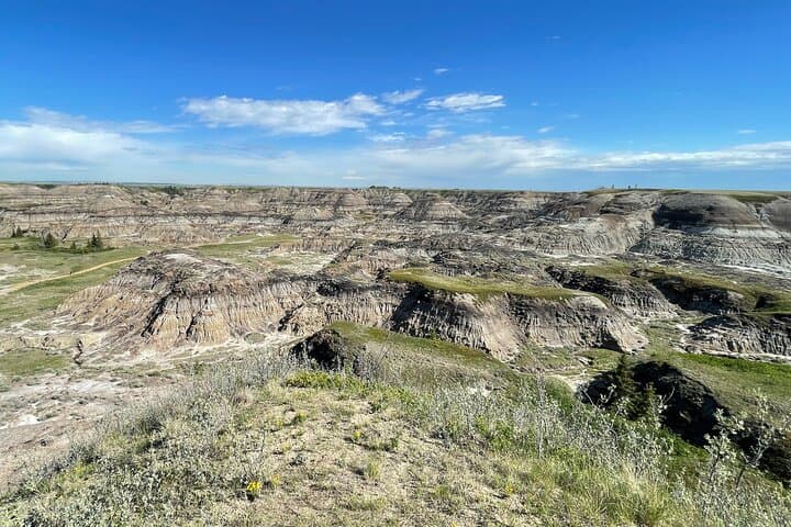 Private Day Tour from Calgary to Royal Tyrrell Museum & Drumheller Badlands photo 6