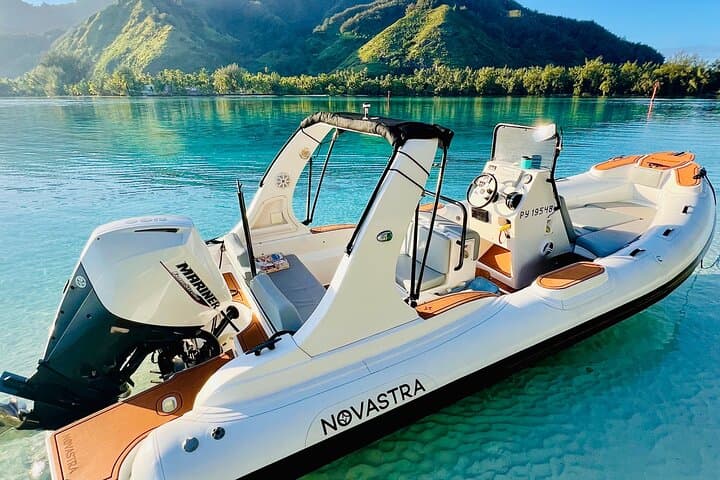Moorea Private 4-Hour High-End Boat Excursion — Snorkel Rays, Sharks & Turtles