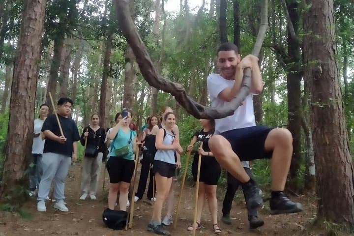 Doi Inthanon Elephant Care Camp & Pha Dok Siew Trek — Full-Day Tour from Chiang Mai photo 3