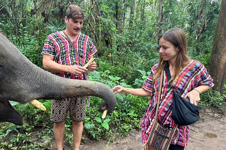 Doi Inthanon Elephant Care Camp & Pha Dok Siew Trek — Full-Day Tour from Chiang Mai photo 2