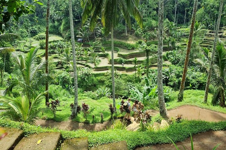 Custom Ubud Private Tour: Design Your Perfect Day in Bali's Cultural Heart photo 4