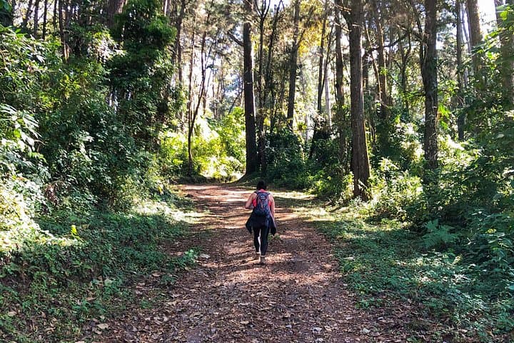 Finca El Pilar Birdwatching and Scenic Trail Near Antigua Guatemala photo 3