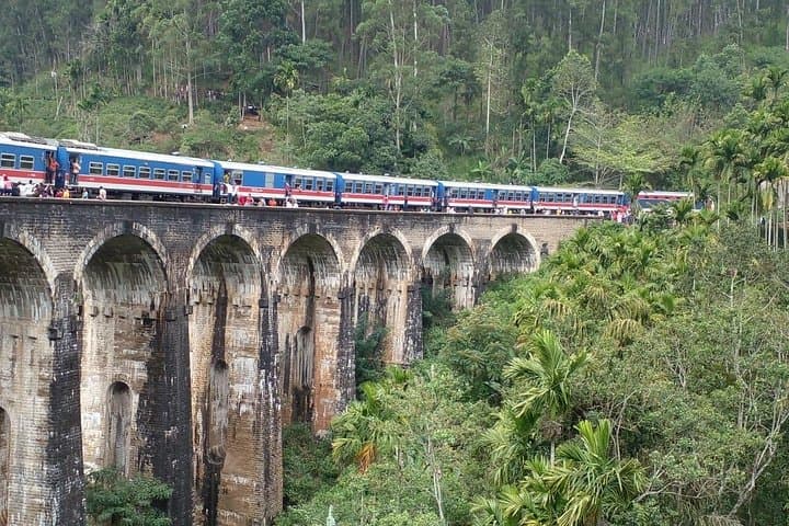 Ella Private Day Tour: Nine Arch Bridge, Little Adam's Peak & Udawalawe Elephant Transit photo 2