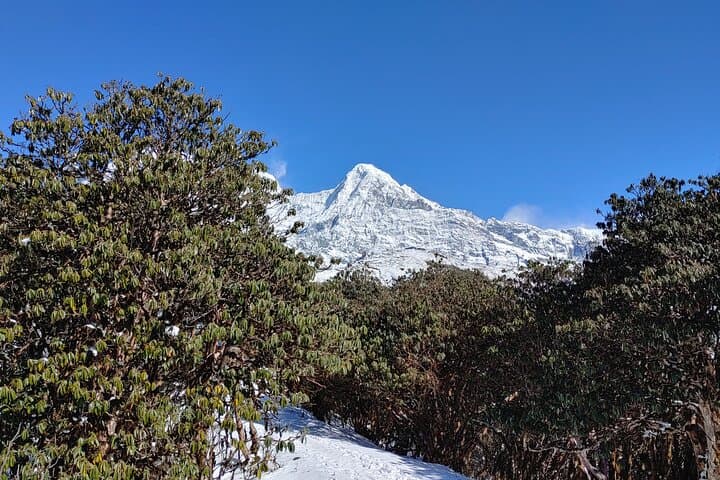 Mardi Himal Trek: 5-Day Short Annapurna Trek from Pokhara photo 2