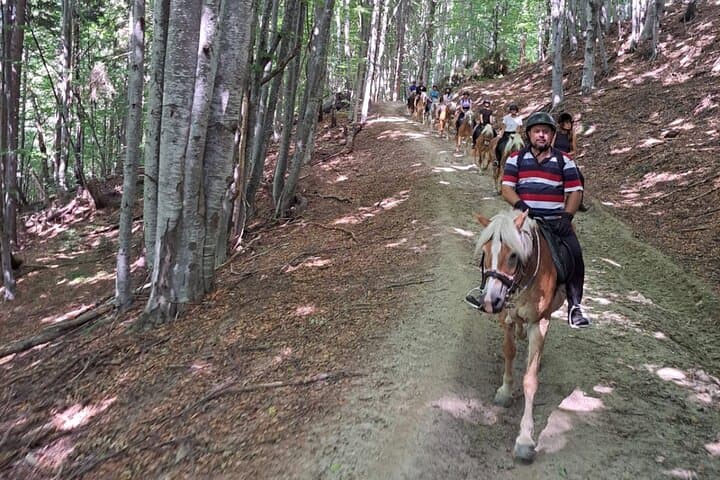 2-Day Horseback Riding in Romania's Carpathians — Bucegi & Leaota Trails