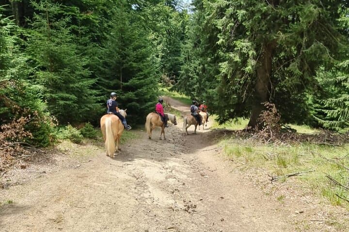 2-Day Horseback Riding in Romania's Carpathians — Bucegi & Leaota Trails photo 3