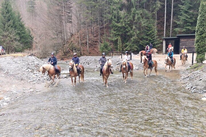 2-Day Horseback Riding in Romania's Carpathians — Bucegi & Leaota Trails photo 4