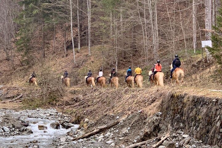 2-Day Horseback Riding in Romania's Carpathians — Bucegi & Leaota Trails photo 5