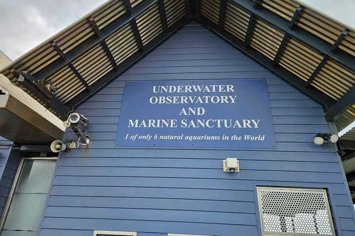 Busselton Jetty & Underwater Observatory Day Trip from Perth