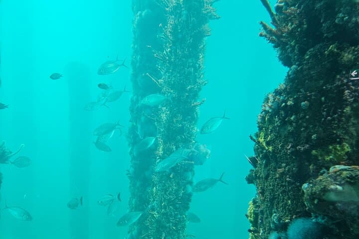 Busselton Jetty & Underwater Observatory Day Trip from Perth photo 4