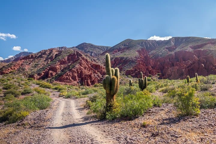 3-Day Escape to Salta: Purmamarca & Salinas Grandes Salt Flats photo 5