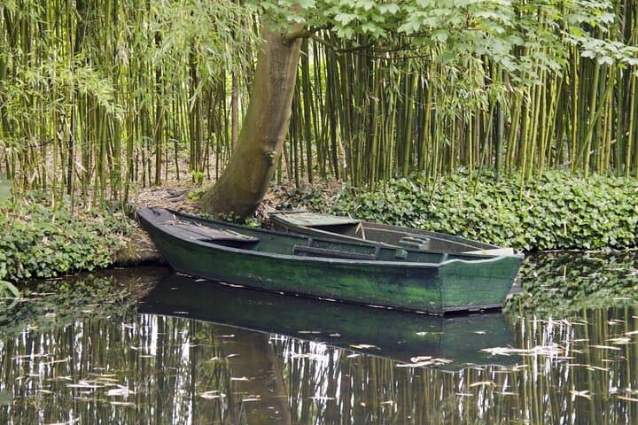 Private half-day tour to Monet's Garden in Giverny from Paris photo 5