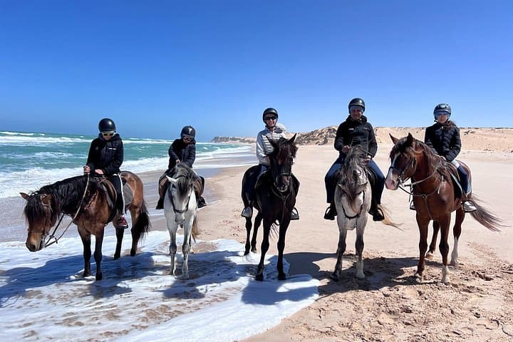 Ride the Dakhla Lagoon: Horseback Along Desert Dunes and Atlantic Shores