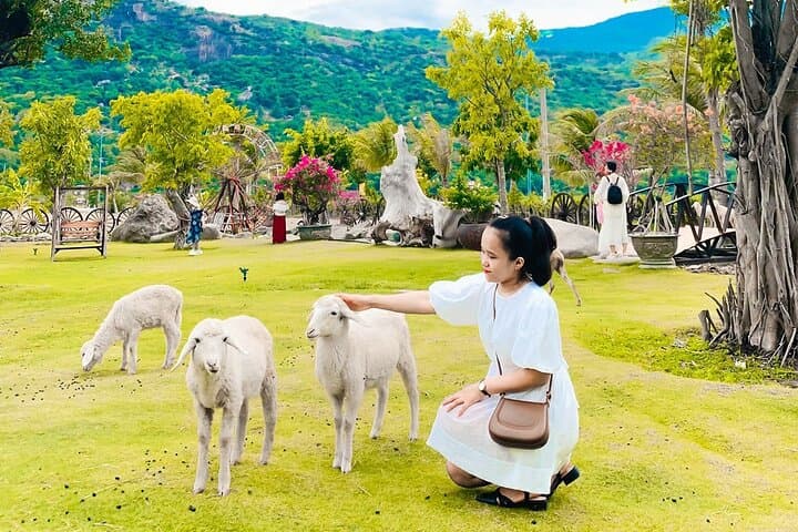 Rai Cave, Grape Farm & Sheep Field Day Tour from Nha Trang