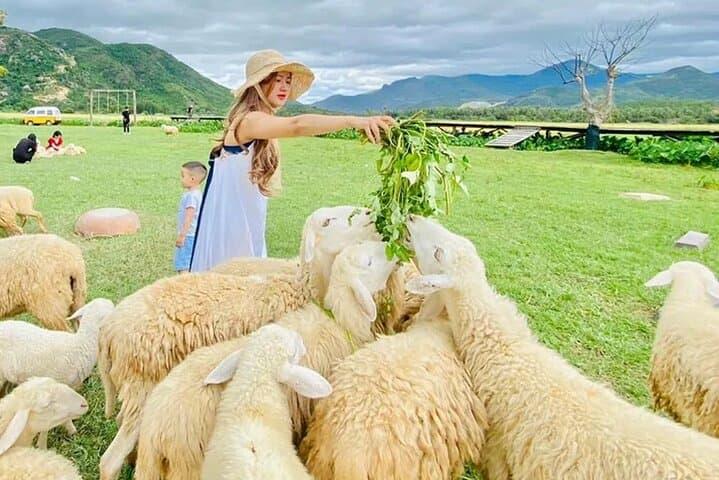 Rai Cave, Grape Farm & Sheep Field Day Tour from Nha Trang photo 5