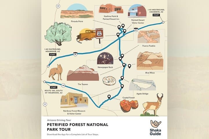 Petrified Forest National Park Self-Guided Audio Driving Tour photo 3