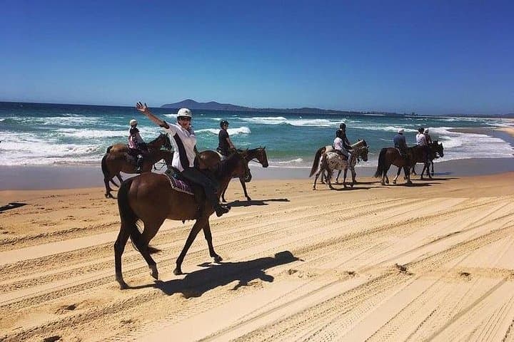 Beach Horse Riding in Dubai — Umm Al Quwain Shore Ride with Transfers photo 3