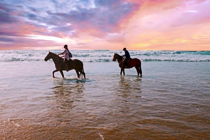 Beach Horse Riding in Dubai — Umm Al Quwain Shore Ride with Transfers photo 2