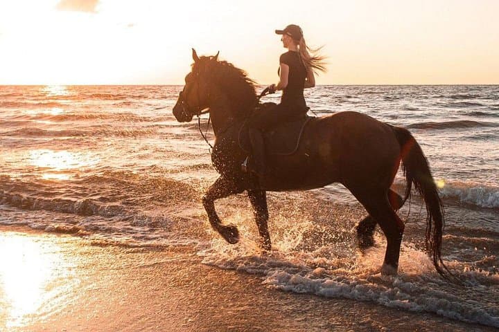 Beach Horse Riding in Dubai — Umm Al Quwain Shore Ride with Transfers photo 1