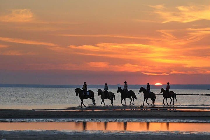 Beach Horse Riding in Dubai — Umm Al Quwain Shore Ride with Transfers photo 4