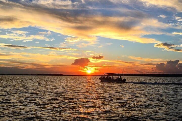 Hilton Head 90-Minute Sunset Dolphin Cruise — Lowcountry Dolphin & Marsh Tour