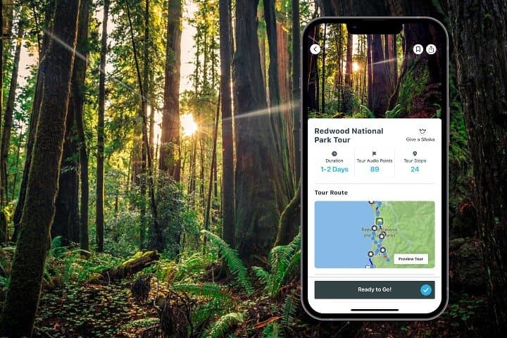 Self-Guided Audio Tour of Redwood National Park: Drive, Hike & Giant Redwoods
